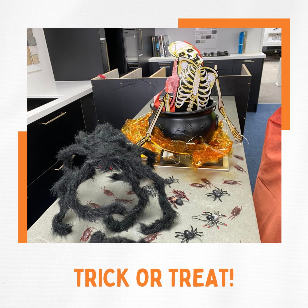 Road crossing the forest