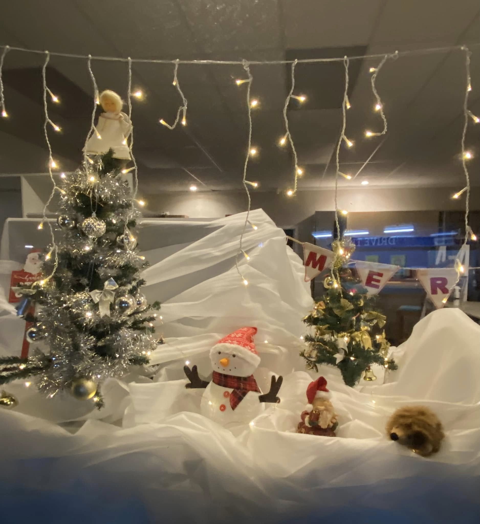 Road crossing the forest