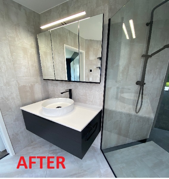 Road crossing the forest